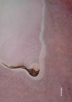 /album/galleria-foto-opere-di-pittura/a36-s-lavorato-una-favola-infinita-93-tecn-mista-80x125-jpg/
